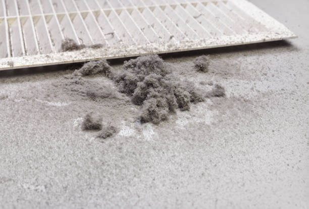 Best HVAC Duct Inspection Services  in North Les, AK