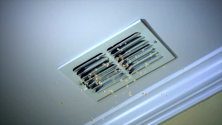 Best Air Vent Cleaning Services  in North Les, AK
