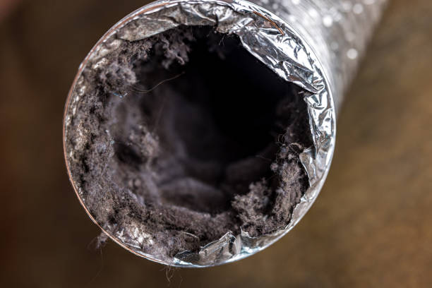 Best Air Duct Cleaning Cost  in North Les, AK